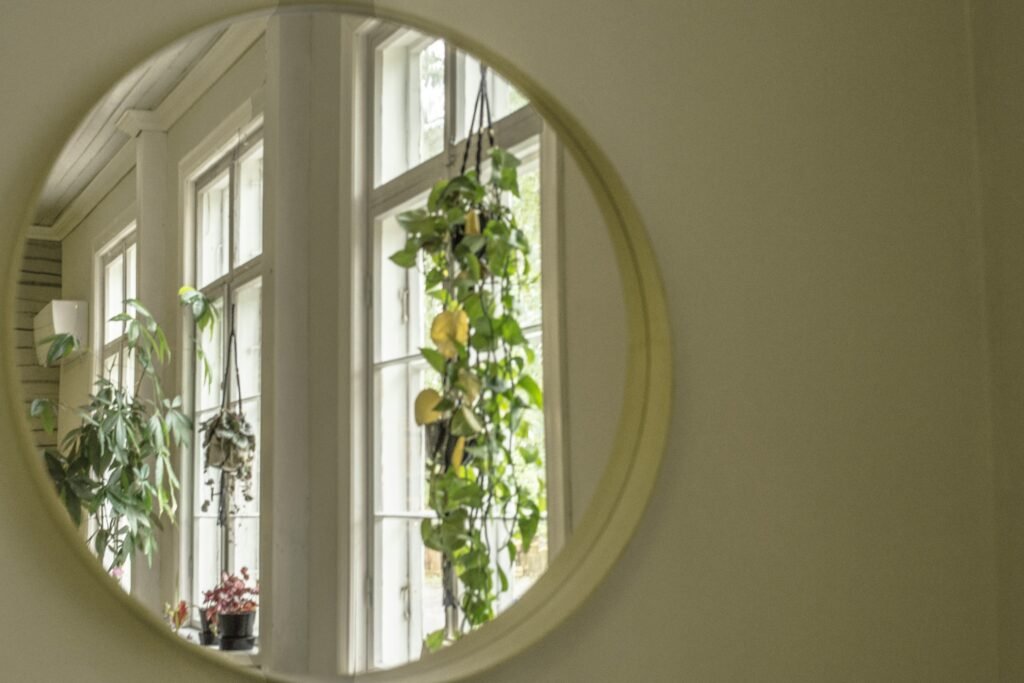 green plant on white window